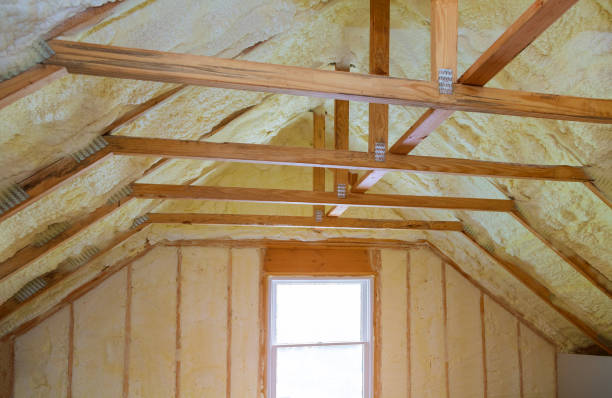 Best Fiberglass Insulation  in Carthage, MO